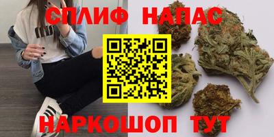 гидра Можга