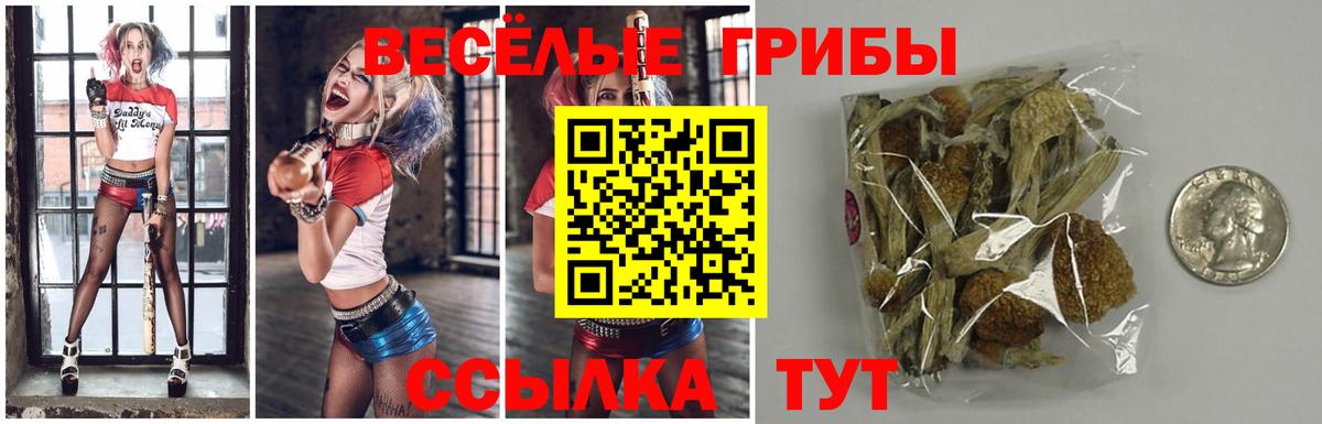 Псилоцибиновые грибы Psilocybine cubensis  Вход с VPN  Псилоцибиновые грибы прущие грибы  Ульяновск 
